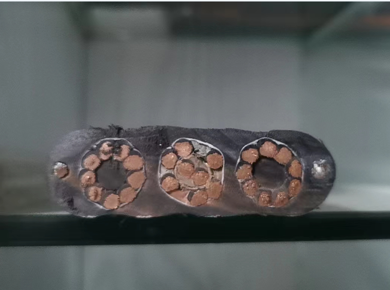 16890424507544.png 1664937396965.png