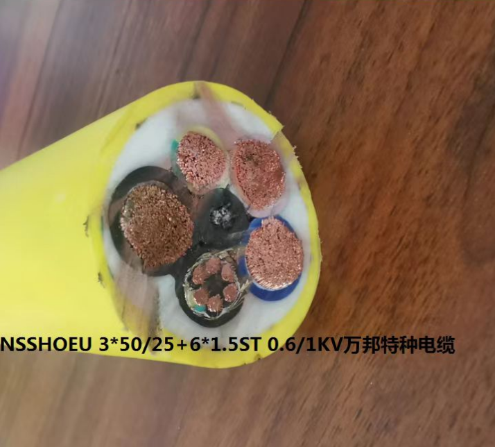 16977075856240.png 1697681200311.png