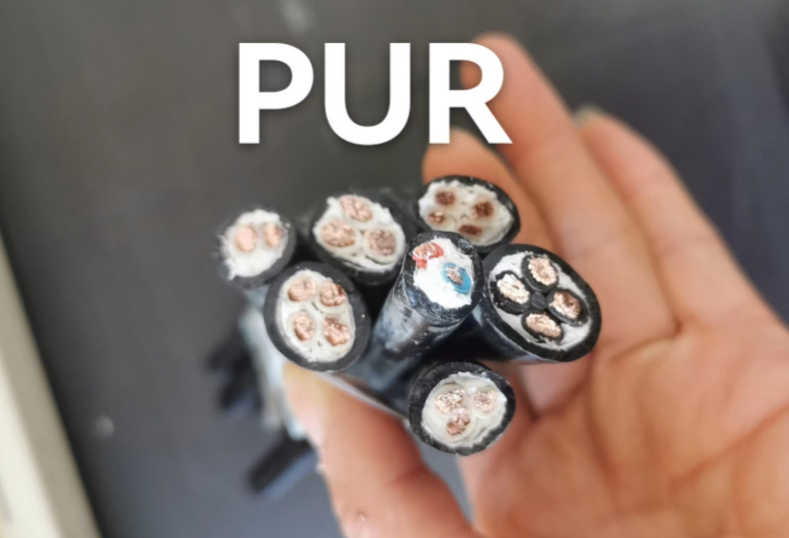 17023491741863.png 1701745453976.png